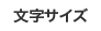 文字サイズ
